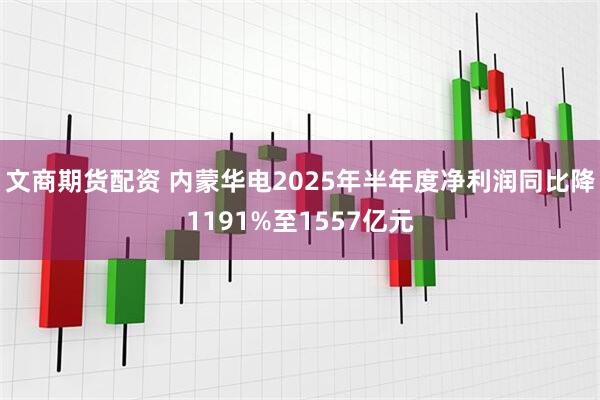 文商期货配资 内蒙华电2025年半年度净利润同比降1191%至1557亿元